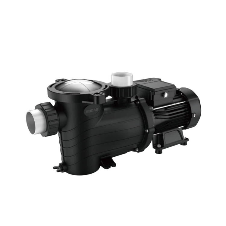 110V Pool Pump