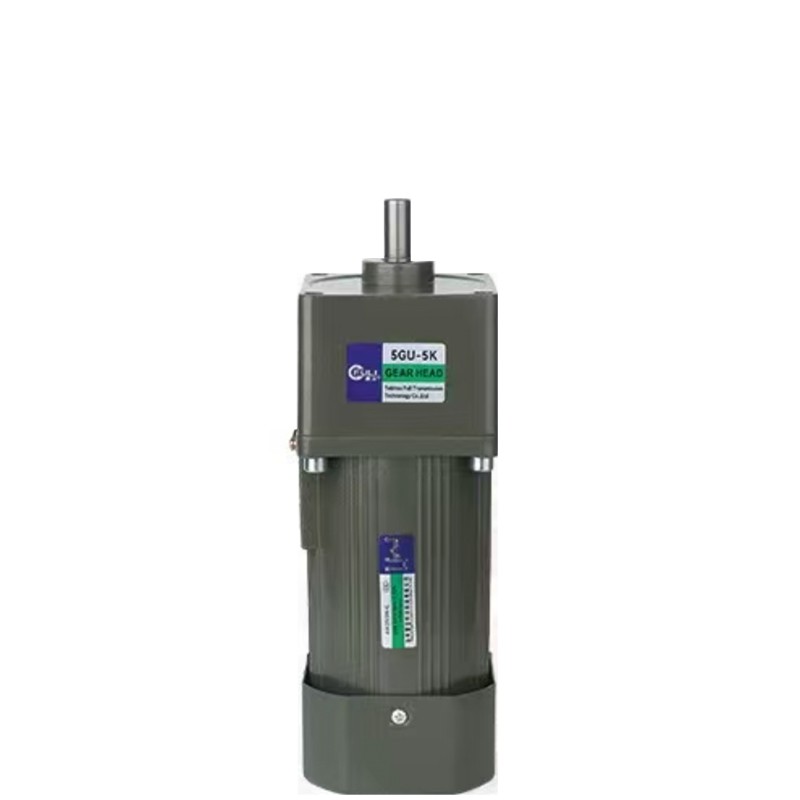 220V AC Gear Motor