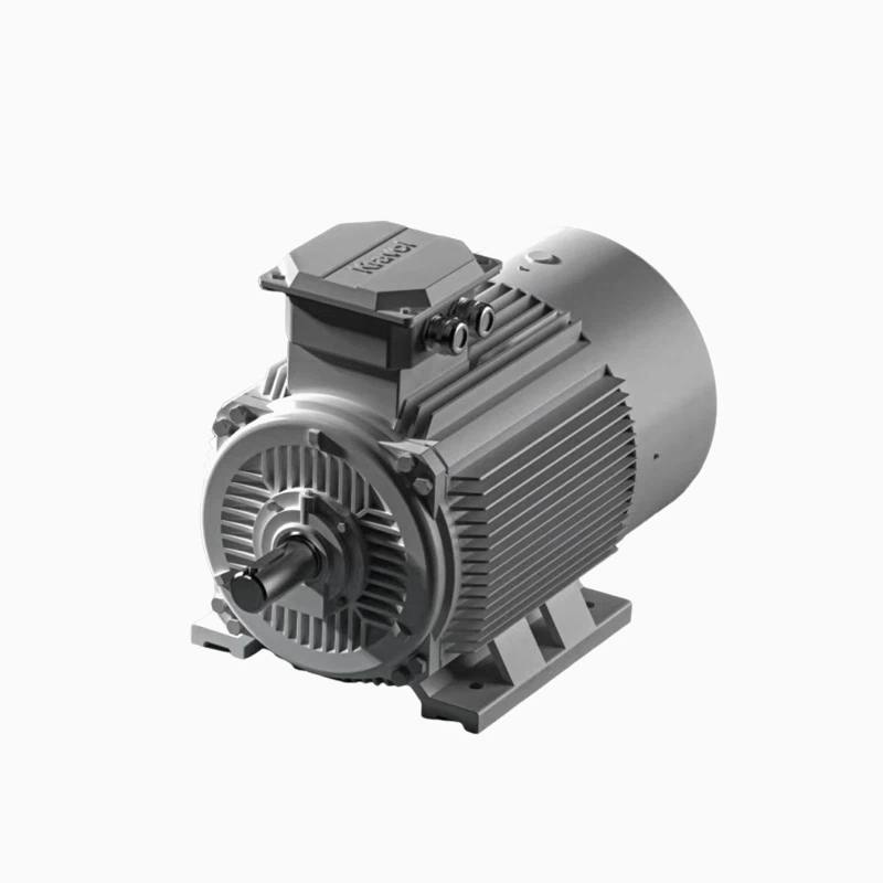 IE2 Electric Motor