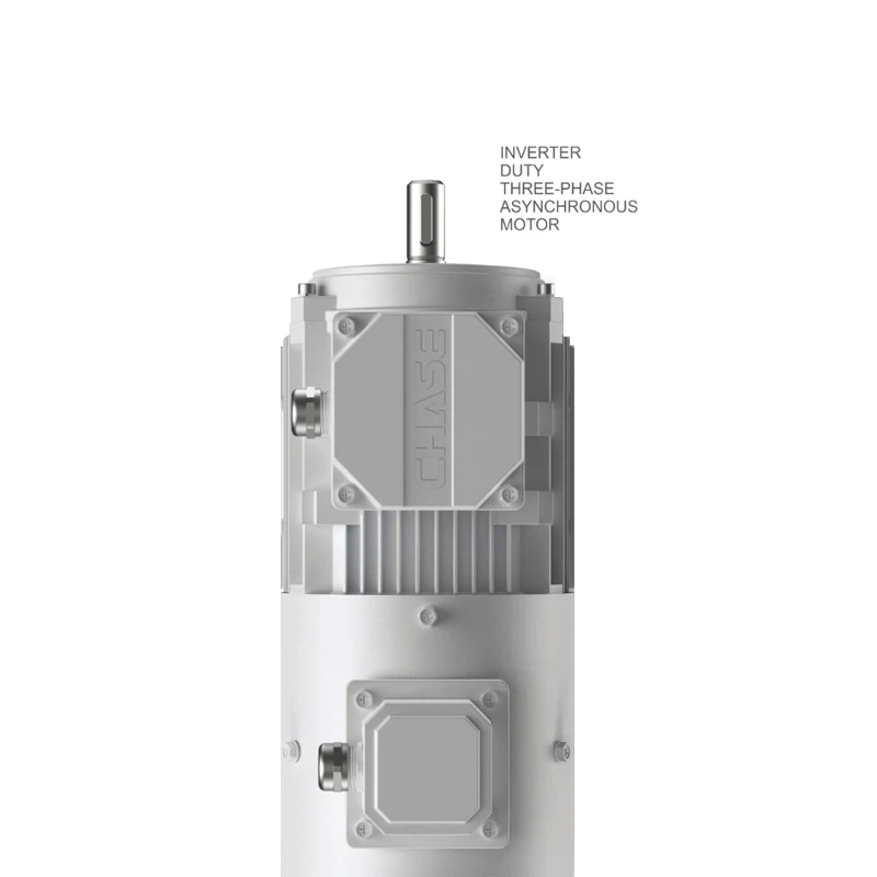 Inverter Duty Motor